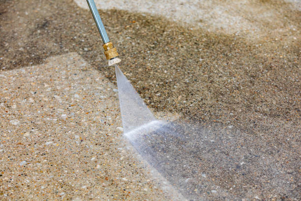 Best Pool Deck Cleaning  in Fayette, MS