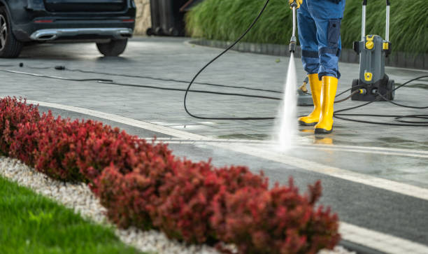 Best Dumpster Area Cleaning  in Fayette, MS